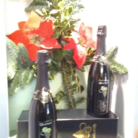 Quartum Luxury 3* רומא